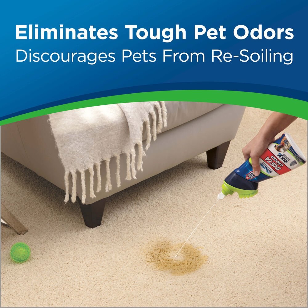 Woolite® Carpet Pet Stain & Odor + Oxy Spot Cleaner